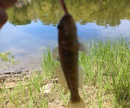 Ivan Lake Recreation Area