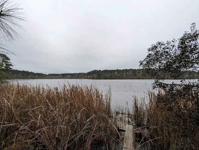 Beaver Dam Campground 9