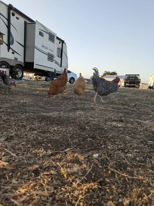 Howling Hills RV park LLC 4