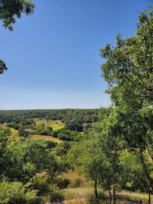4R Top-O-the-Ridge Campsite 1