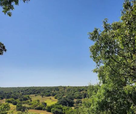 4R Top-O-the-Ridge Campsite