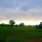 Buzzard Roost Campground