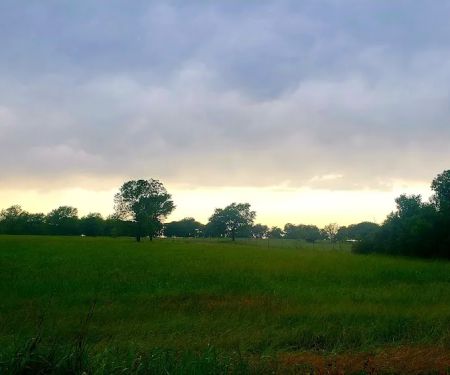 Buzzard Roost Campground