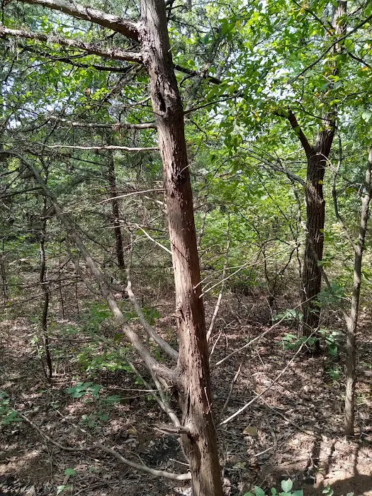 Rock Tower Campground 9