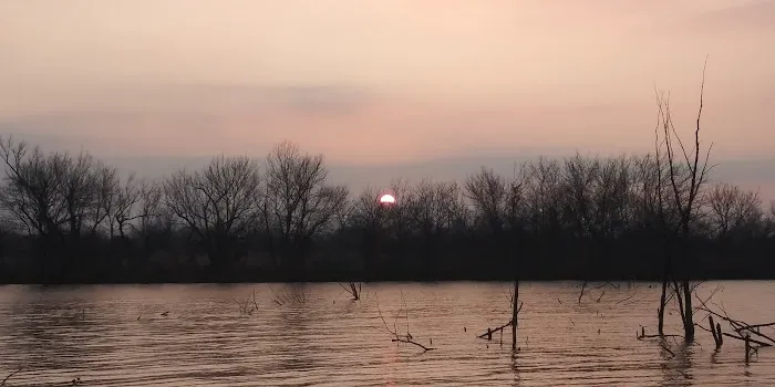 Collier's Landing 5