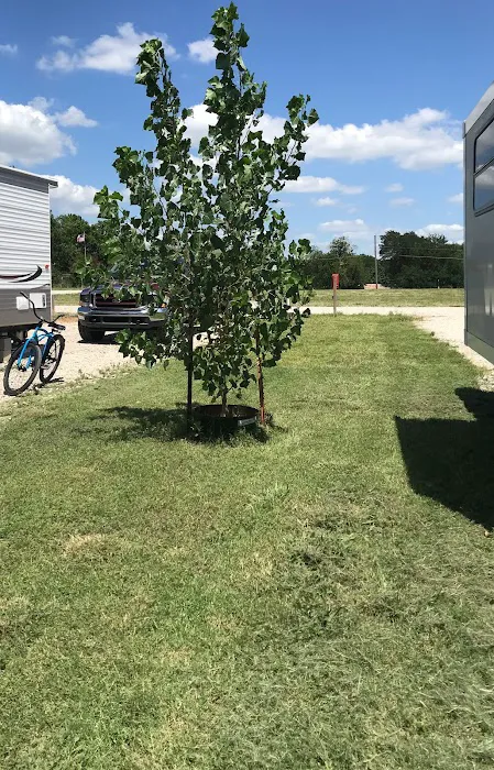 Fat Cat Rv Park 10
