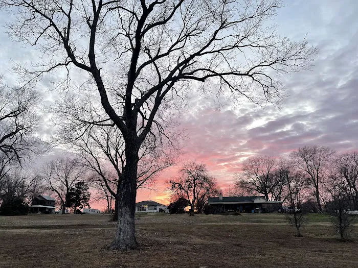 Skyline RV Park & Tiny Homes 4