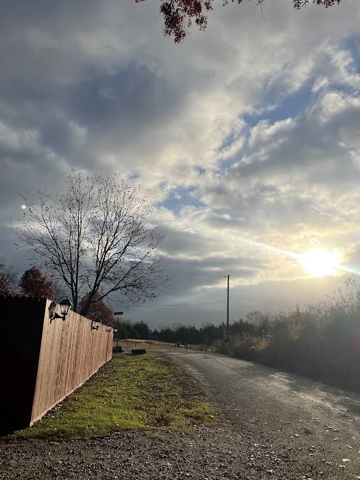 Skyline RV Park & Tiny Homes 1
