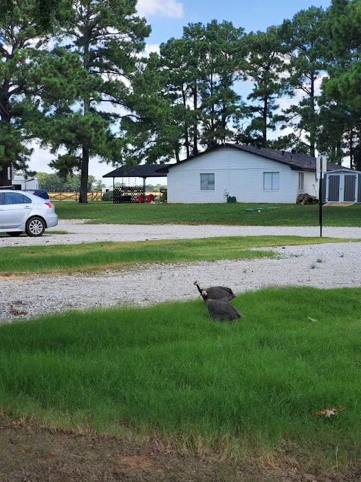 Country Pines RV Park 9