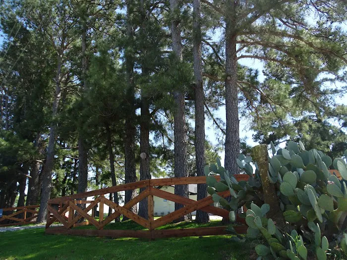 Country Pines RV Park 2