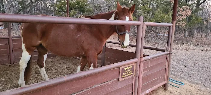 Bluestem Grove Equestrian Camping 4