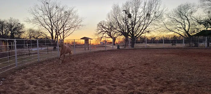 Bluestem Grove Equestrian Camping 3