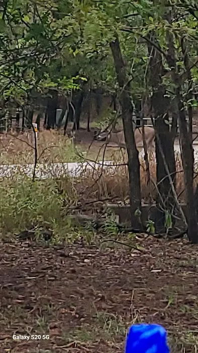 Deer Ridge Campground 1
