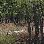 Deer Ridge Campground
