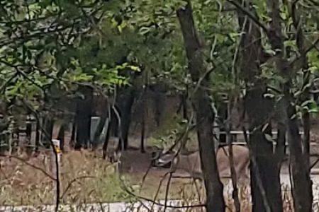 Deer Ridge Campground