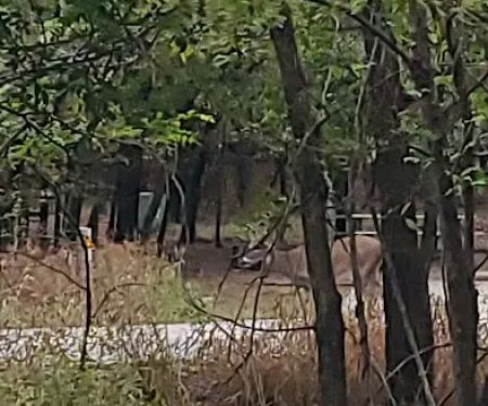 Deer Ridge Campground