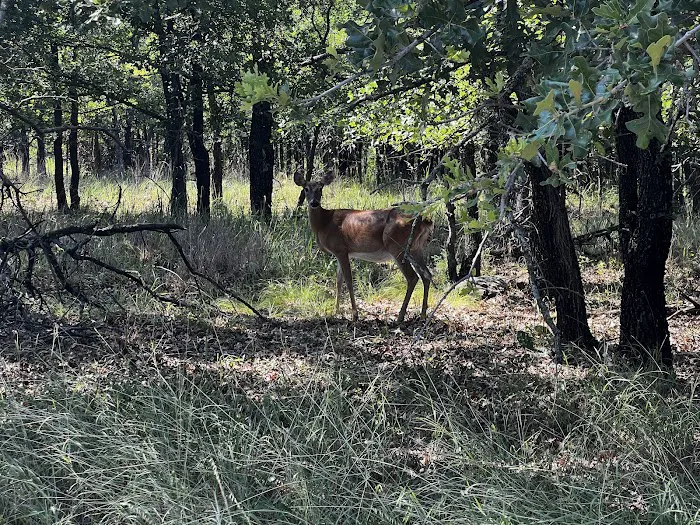 Deer Ridge Campground 2