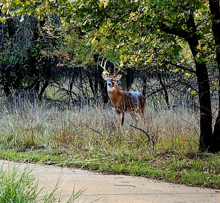 Quail Run Campground 10