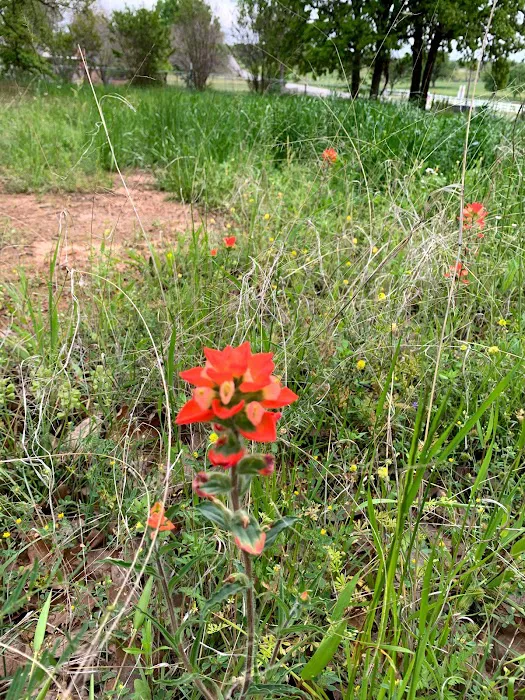 Mt. Springs RV Park 7