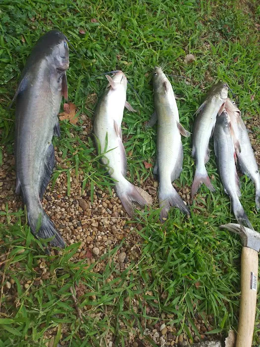 429 Resort and Marina - Lake Tawokoni, Tx 5