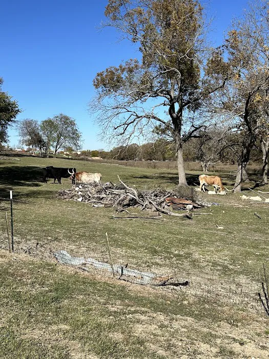 Dallas Rockwall RV PARK & Tiny Home Community 8