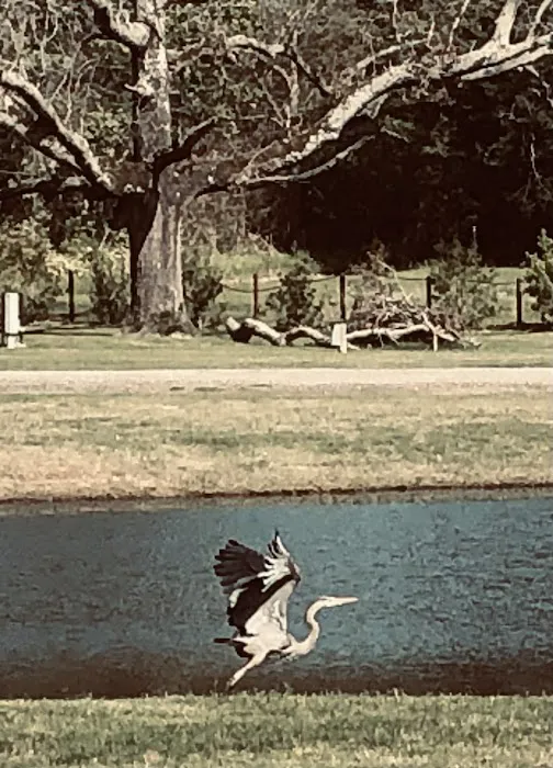Turkey Creek Country Resort 3
