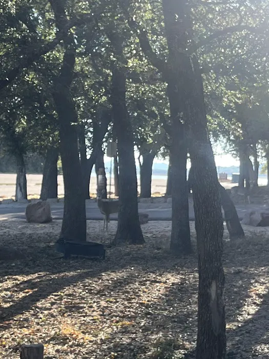 Live Oak Campground 6