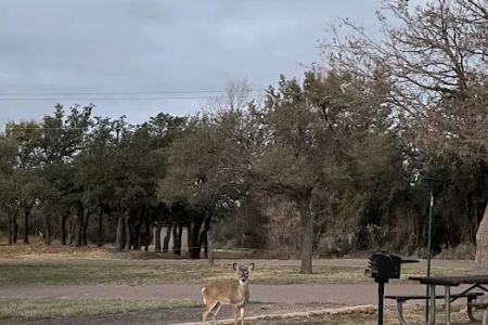 East Scissortail Campground