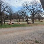 Redbud Campground