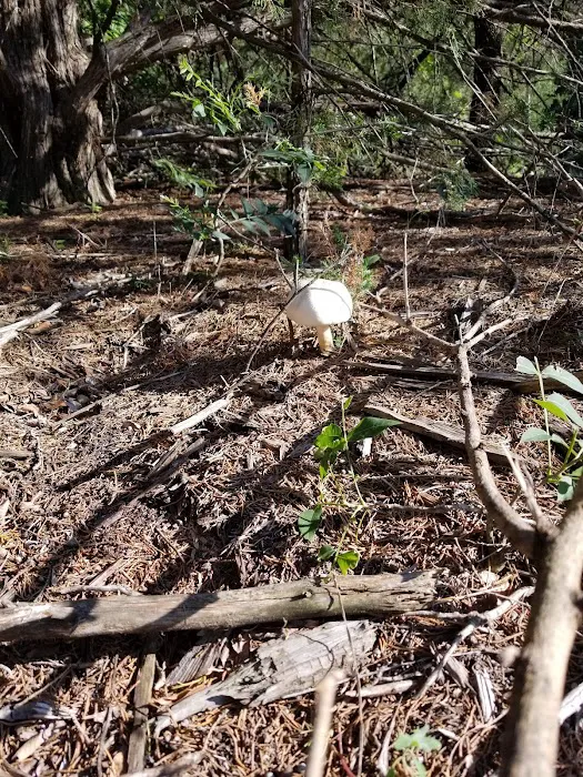Whitetail Campground 6
