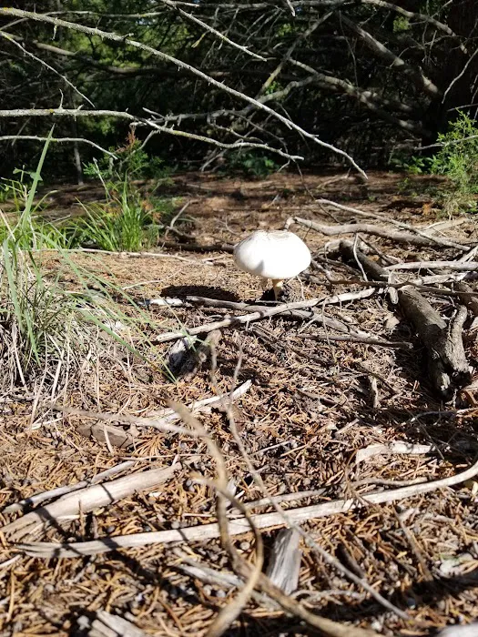 Whitetail Campground 3