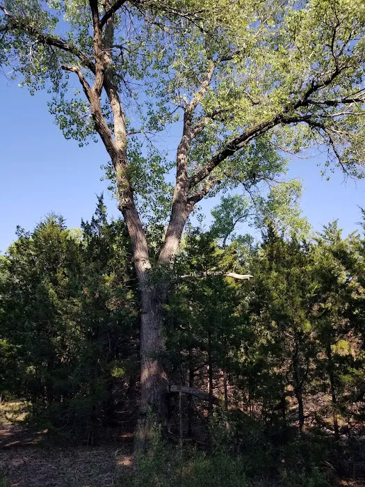Whitetail Campground 5