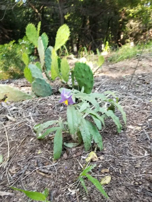Whitetail Campground 2