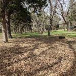 Camp Renfrew