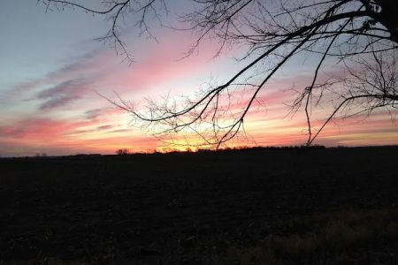 East View Village LLC