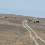 Battlehill RV Park