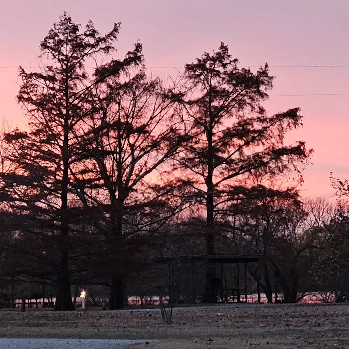 Hillsboro Cove Campground 3