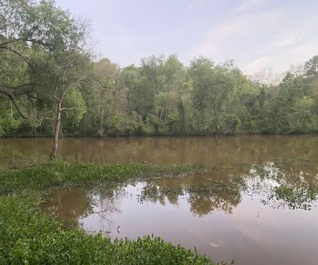 Lake Palestine Gateway RV Park