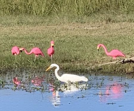 Trailerhood At Sumrall Farm