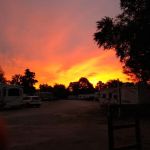 Shady S RV Park