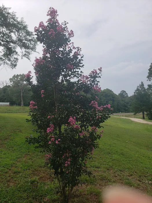 Countryside RV Park 10