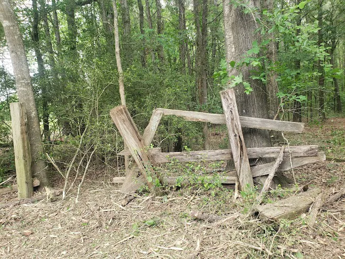Wagner Springs 2