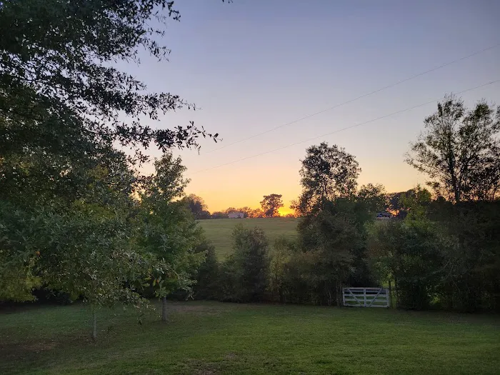 Bill's Landing 10