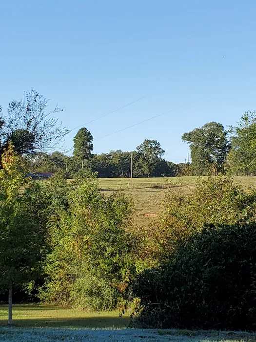 Bill's Landing 9