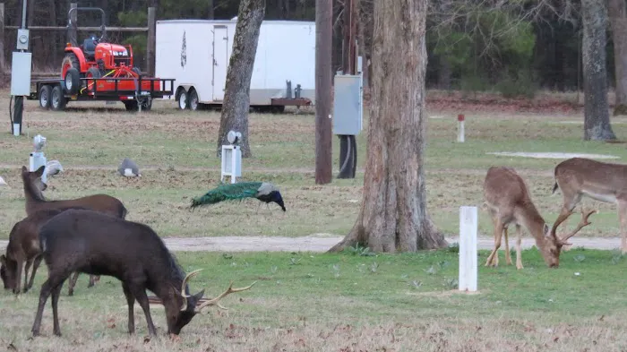 Camp Tonkawa Springs RV Park and Campground 9