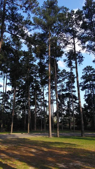 Whispering Pines RV Park & Lodging 7