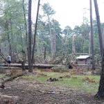 Wenk's Landing, Army Corps of Engineers