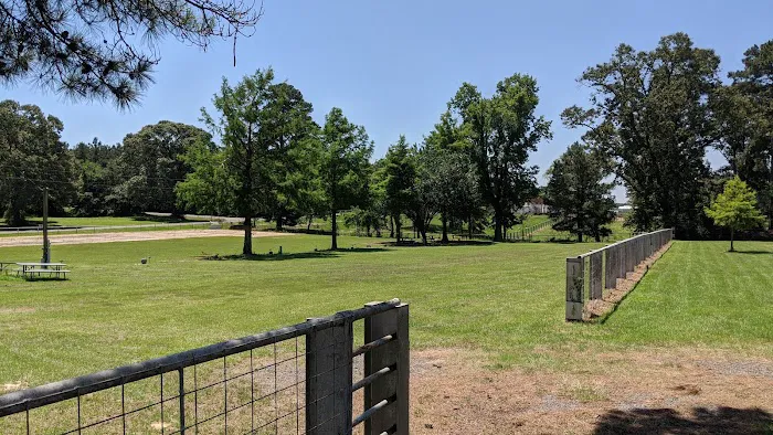 In the Woods RV Park 5