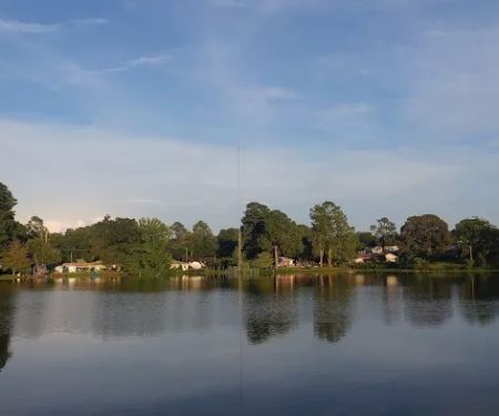 Agriculture & Forestry Department