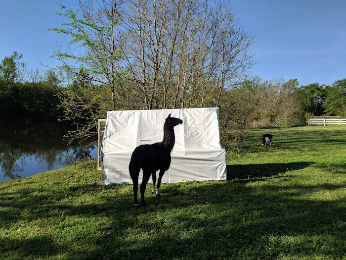 Lakeview RV Park 2
